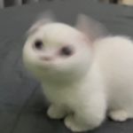 你先