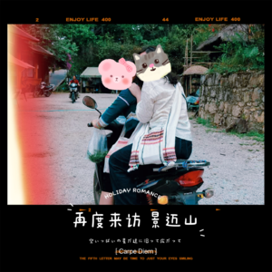 Album
