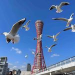 大道无形我有形