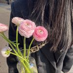 毛豆和小花