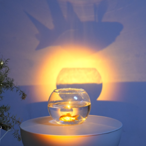 愿你们在这孤独的星球上永远自由，播客重启计划