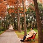 旅居心理师黎恩Lien