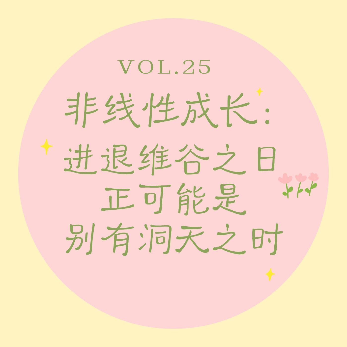 Vol.25 非线性成长|进退维谷之日,正可能是别有洞天之时 episode artwork