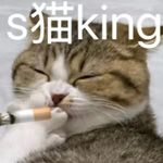 猫一直响