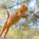 热心市民寇女士