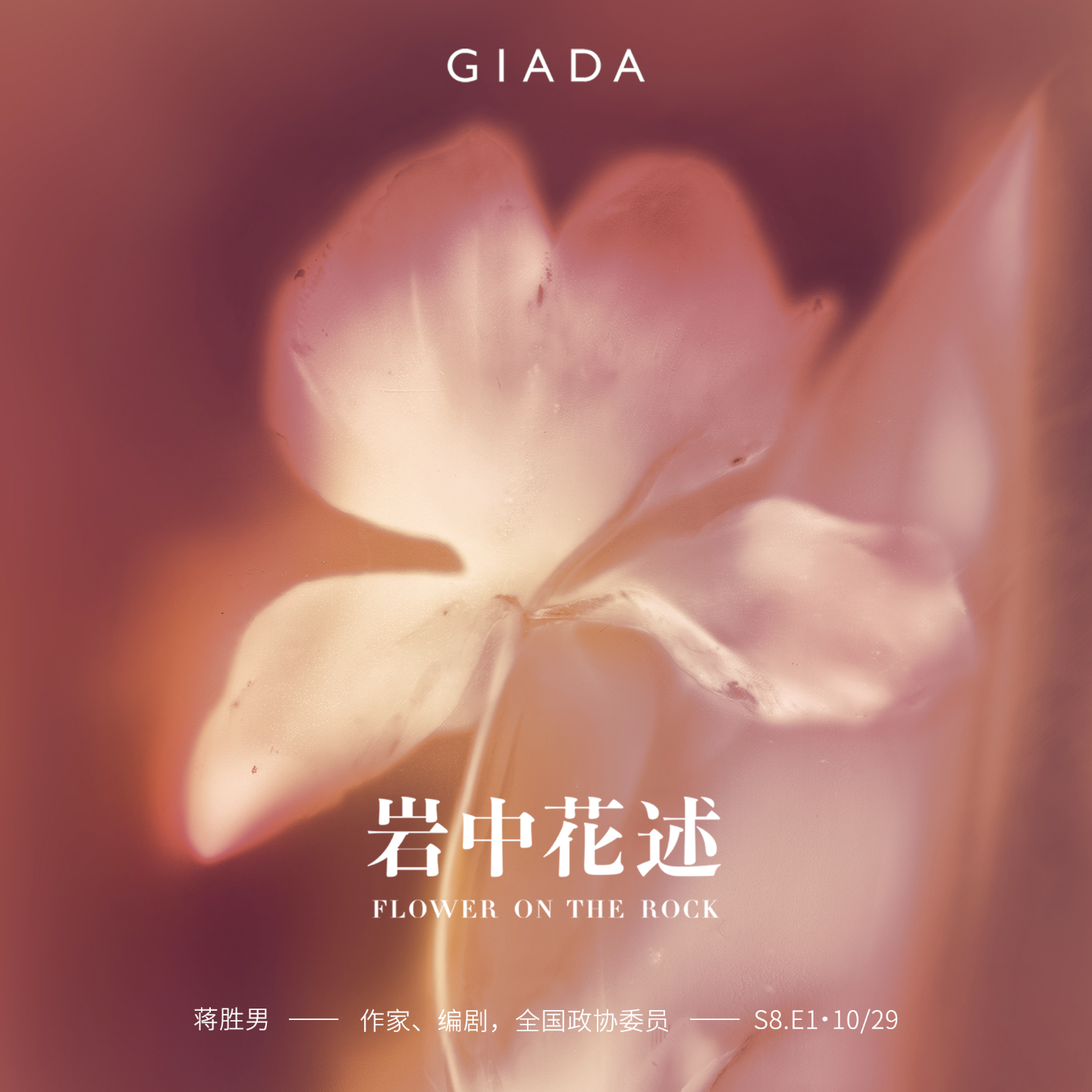 S8E1 鲁豫对话蒋胜男 | 她可以为你而死，但不会只为你而活