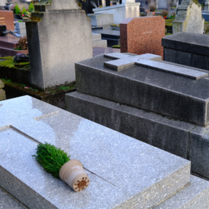 29.生前并非夫妻，死后他们为何共眠于巴黎？记波伏瓦与萨特、潘玉良与王守义的合葬墓