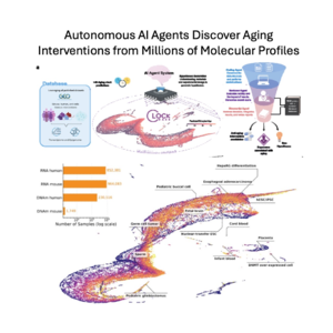 419-ClockBase Agent: AI Discovery of Aging Interventions