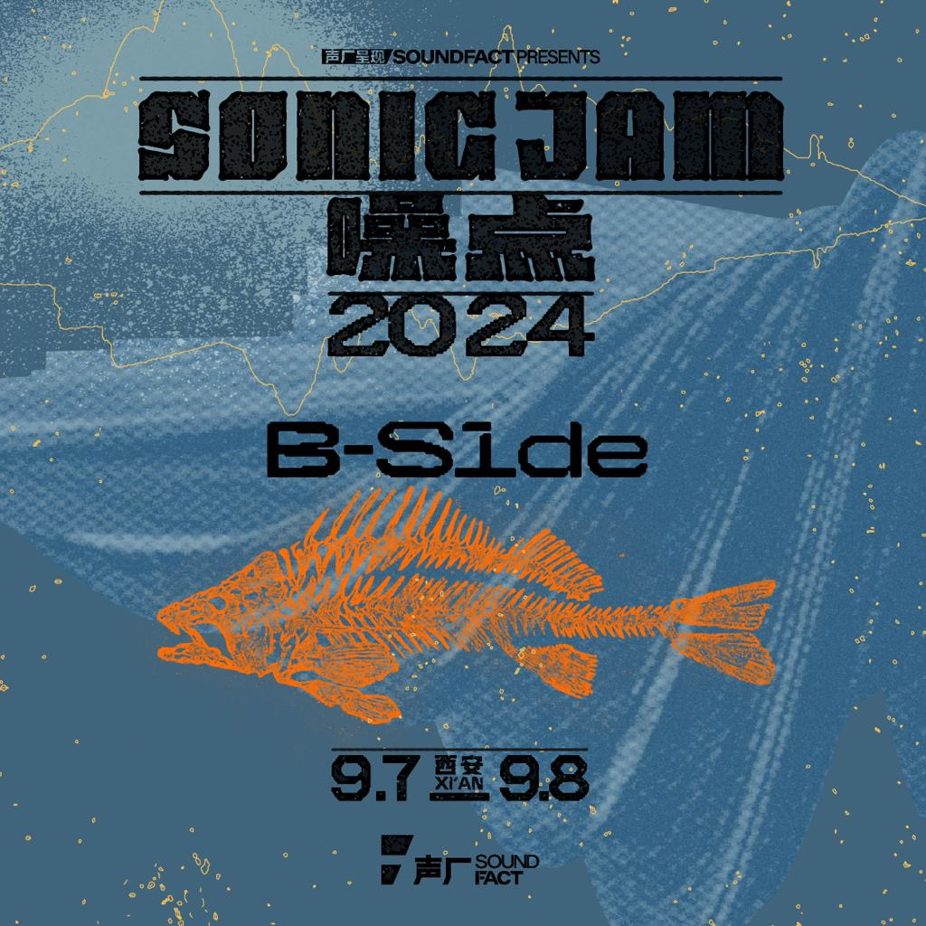 cover of episode 声厂电台SONIC JAM 2024 | 噪点音乐节限定歌单 B-SIDE