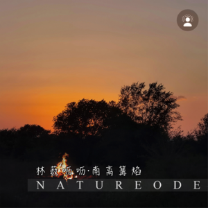 林薮呖呖·南离篝焰