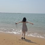小熊polly