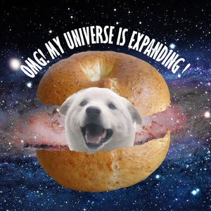 宇宙夹心贝狗