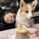 山上的树_KRx3