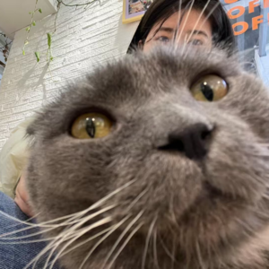 13|放弃挣扎吧,你值得拥有幸福