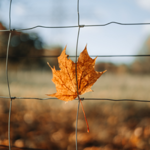 每一个情绪内耗的人，都需要一个独立空间