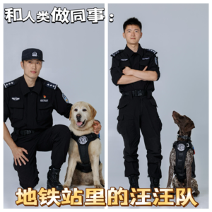 EP.23 |【和人类做同事】系列:地铁站里的汪汪队