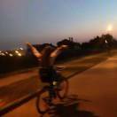 Yuxin_gmSZ