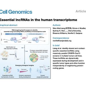 1089-The Essential lncRNA Landscape of Human Transcriptome