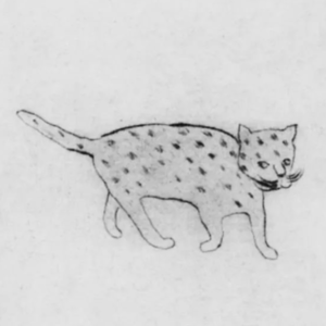 193.开裂的墙壁、猫与梦想小屋