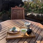 布莱恩高干子弟