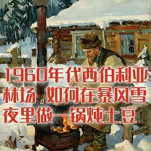 1960年的西伯利亚林场里，如何在暴风雪夜做一锅炖土豆？#助眠 #助眠故事 #睡前故事