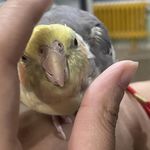 强身健体来一罐