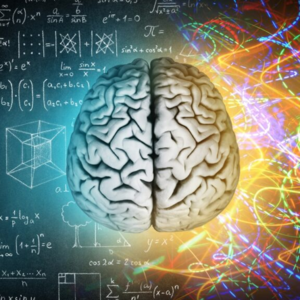 Build A Second Brain to Compound Knowledge Learning