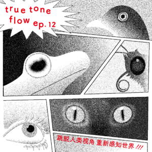 12:跳脱人类视角,重新感知世界