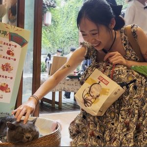 阿鹿的耳朵