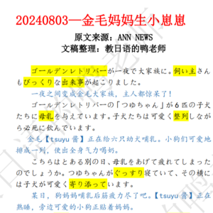 【004】日语听力|金毛生小狗啦|金毛寻回犬用日语怎么说