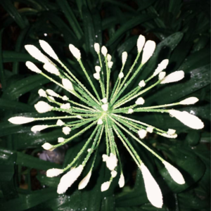 Vol.010 不好意思发的年终总结,都放这了