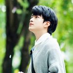 kotoko-