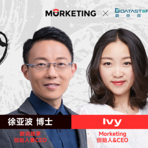 数说故事CEO徐亚波：从insight到sales，用十年写一则商业寓言