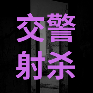 49.蒙城的夜与雾:安徽交警射杀“肇事逃逸者”事件