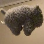 层层浪里
