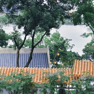 20.惠州 I 寻路东坡之“鹅城”：日啖荔枝三百颗，不辞长作岭南人