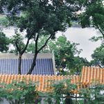 20.惠州 I 寻路东坡之“鹅城”：日啖荔枝三百颗，不辞长作岭南人