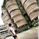 马化龙驹-后浪聚义厅