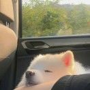 今晚月色真美ing