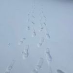 开车时必须听播客