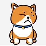 老登破防拉黑了