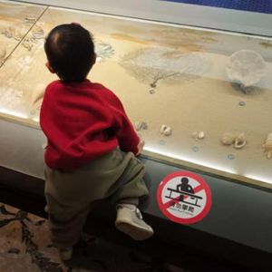 聊几分11-关税冲击再来,明天周一开盘我的应对