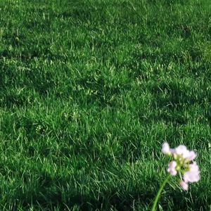 podcaster-avatar