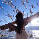 日落后看海_QoHw