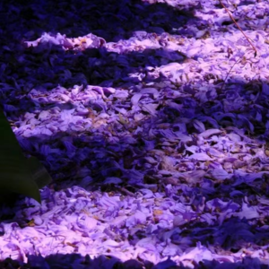 顾左言右01：骗一骗，赌一赌，再套一套，小钱钱就飞走啦