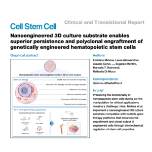 486-3D Nichoids Enhance Gene Therapy