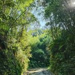 毛吉大人