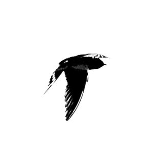 podcaster-avatar