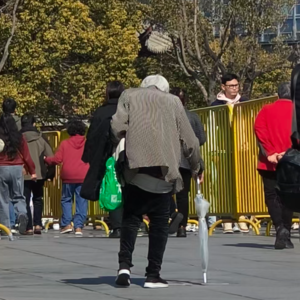 龙华寺里的新春祈福