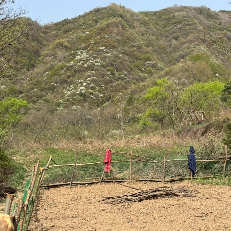 cover of episode 继续闲聊几句住山生活|还有微信最近一周内无法回复，无事勿加，有事邮箱